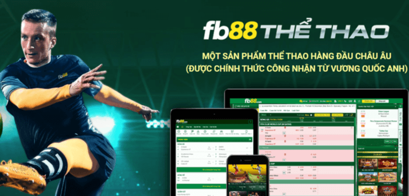 Thế giới thể thao hấp dẫn