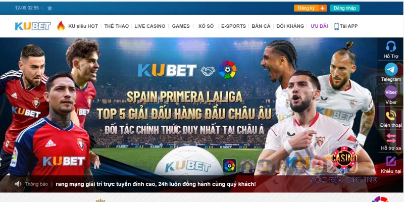 Vì sao nên cá cược tại Kubet?